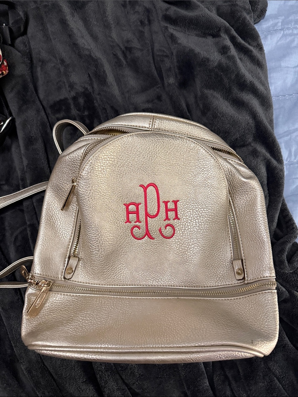 Metallic Champagne Backpack rose gold hardwarewith hot pink Monogram APH